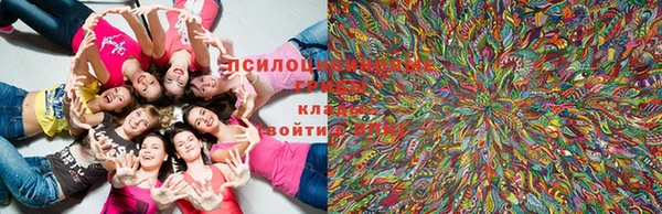 кокаин VHQ Гусев