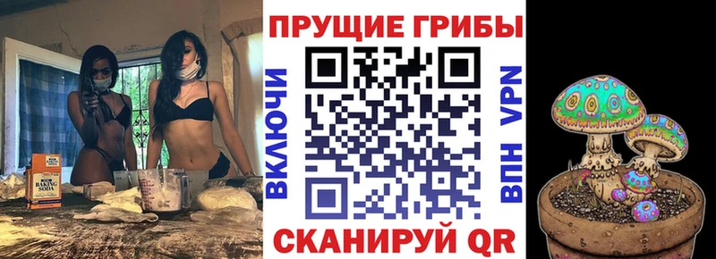 Купить где  Печора  Псилоцибиновые грибы ЛСД 
