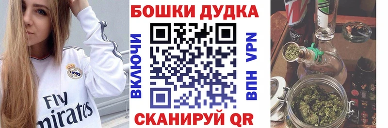 Бошки Шишки гибрид  Купить закладки  Печора 